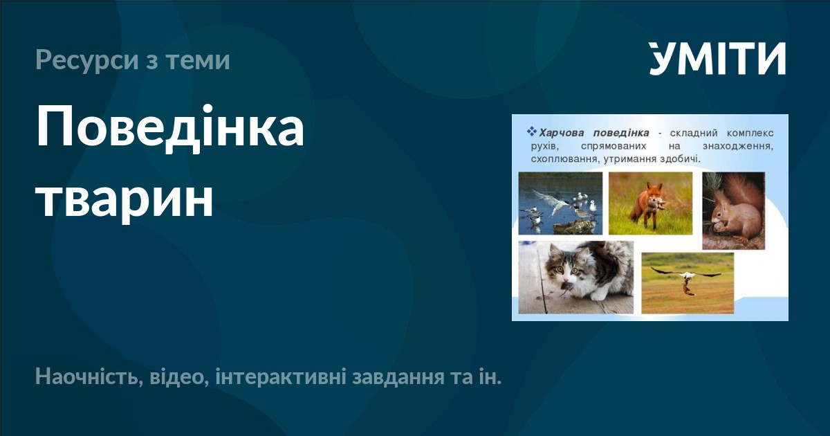 Поведінка тварин – УМІТИ